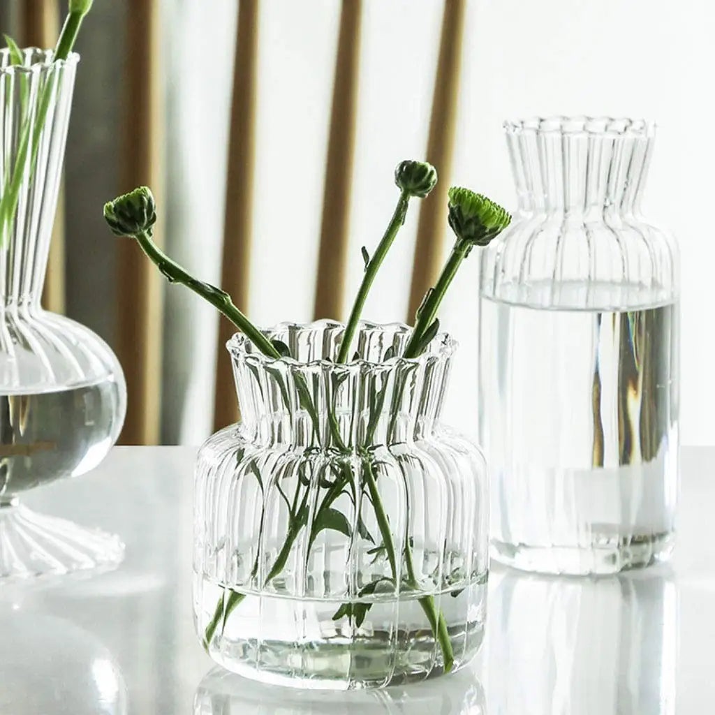 Set of Transparent Vases